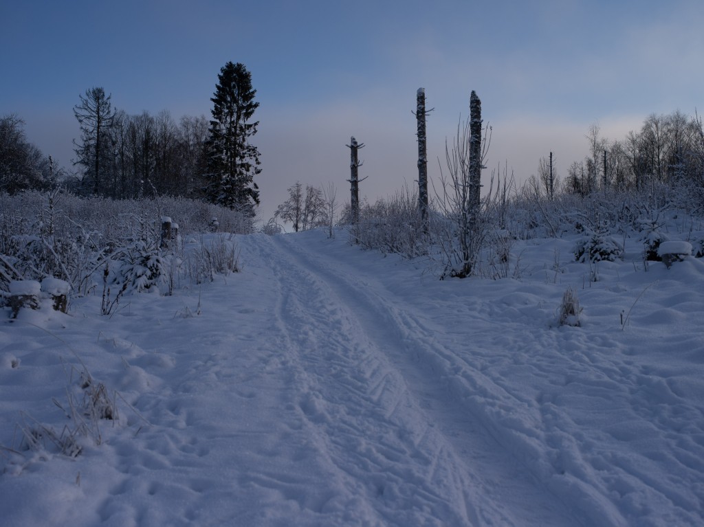 01-05-21-10.55.02.DNG