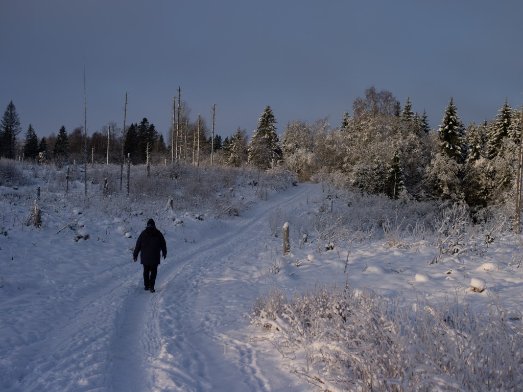 01-05-21-10.56.06.DNG