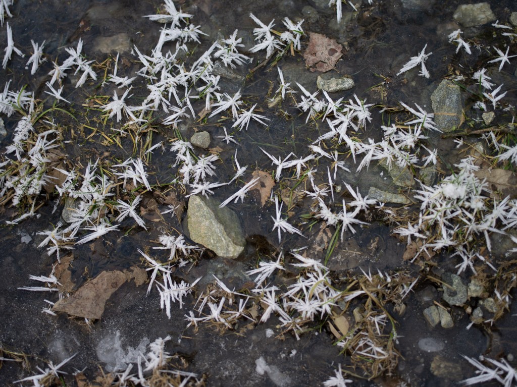 01-05-21-11.05.25.DNG