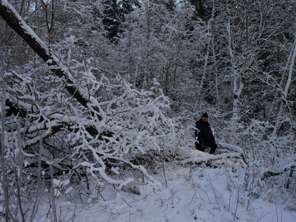 01-05-21-11.14.59.DNG