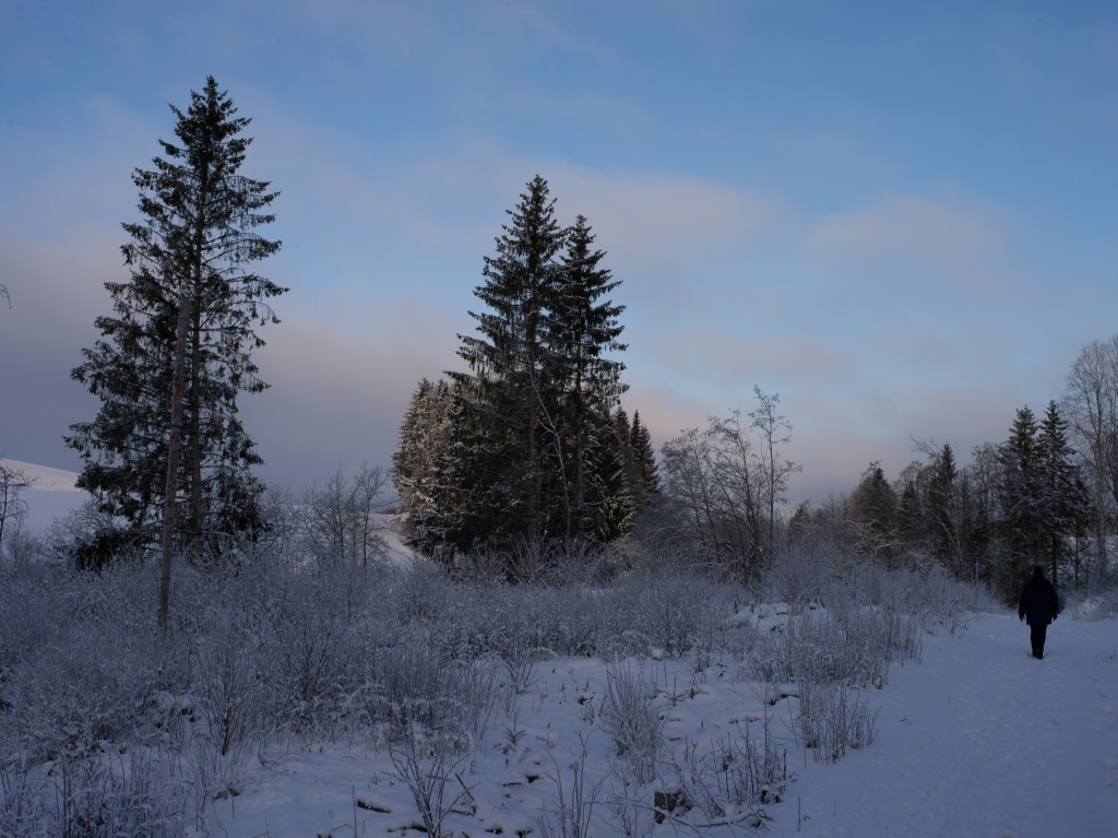 01-05-21-11.21.26.DNG