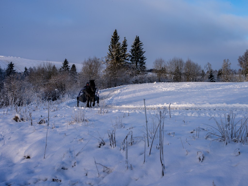 01-05-21-11.28.43.DNG