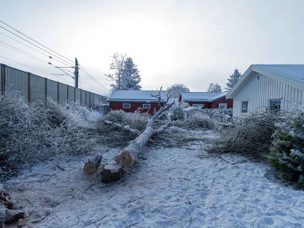 02-01-21-11.33.29.DNG