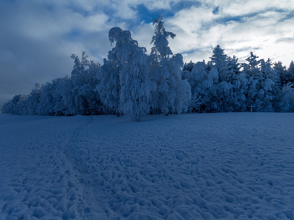 02-01-21-12.22.43.DNG