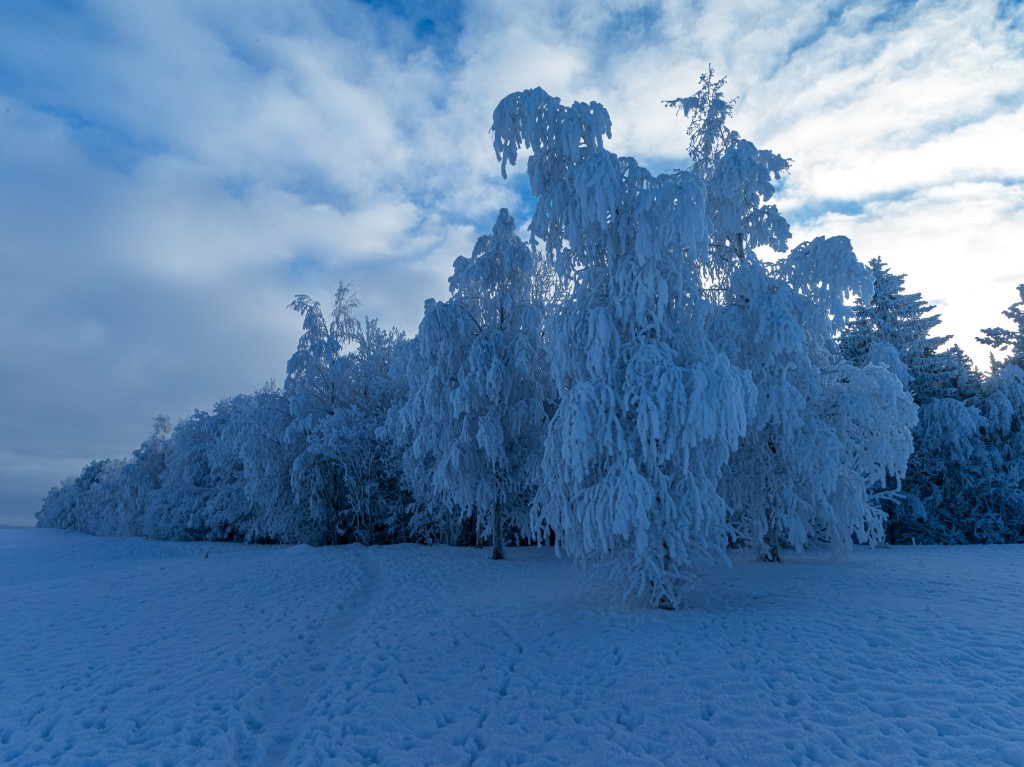 02-01-21-12.23.24.DNG