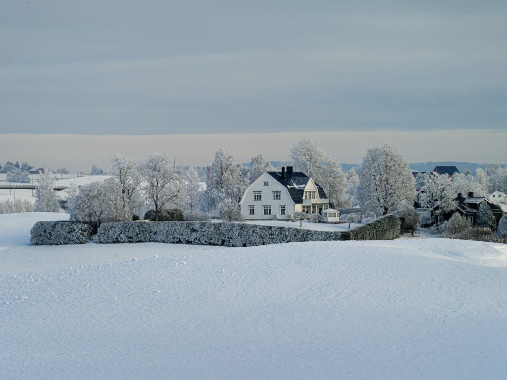 02-01-21-12.25.45.DNG