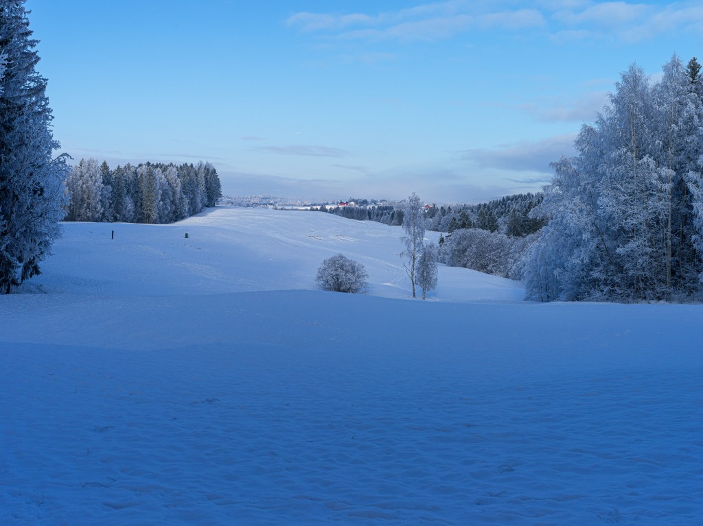 02-01-21-12.54.07.DNG