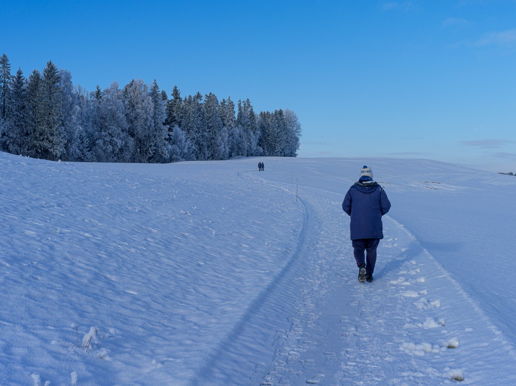 02-01-21-12.58.14.DNG