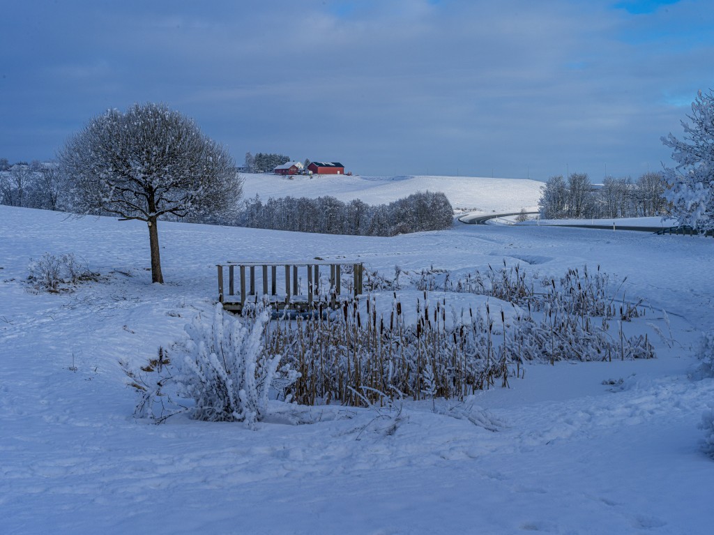 02-01-21-13.36.54.DNG