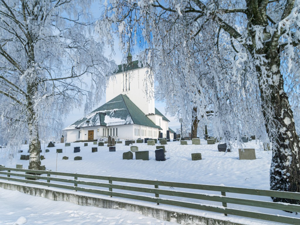 02-01-21-13.53.41.DNG