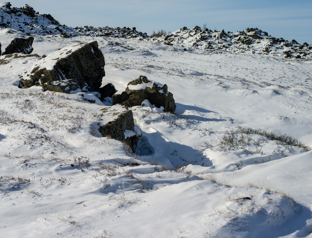 03-27-21-15.19.07.DNG