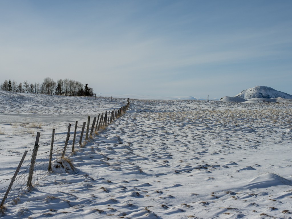 03-27-21-15.59.02.DNG