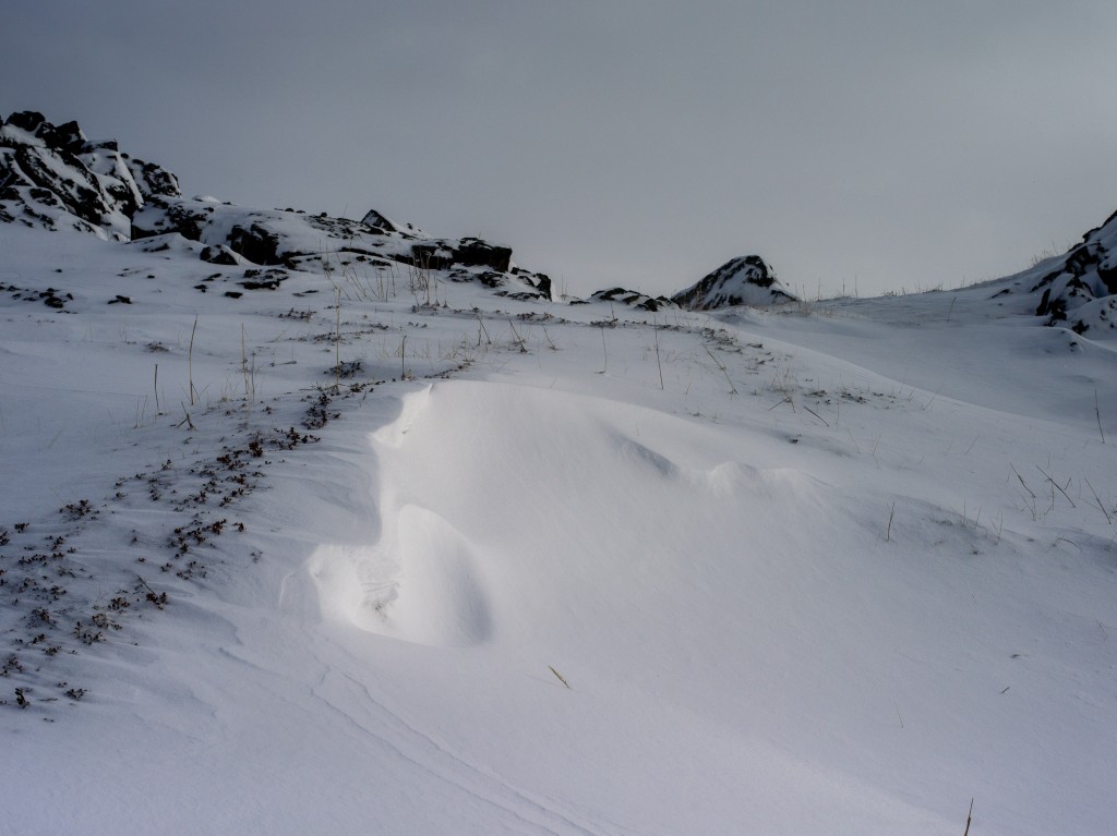 03-29-21-13.45.09.DNG