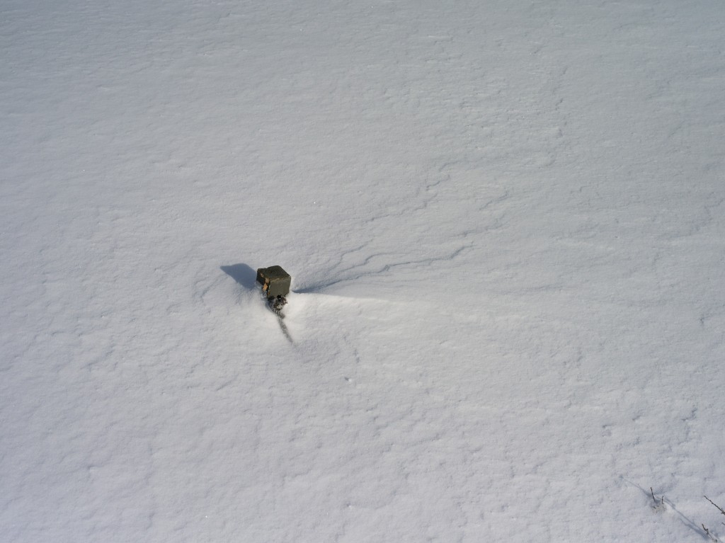 03-29-21-14.46.05.DNG