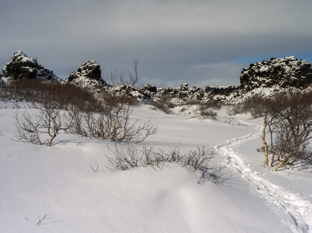 03-29-21-14.46.11.DNG