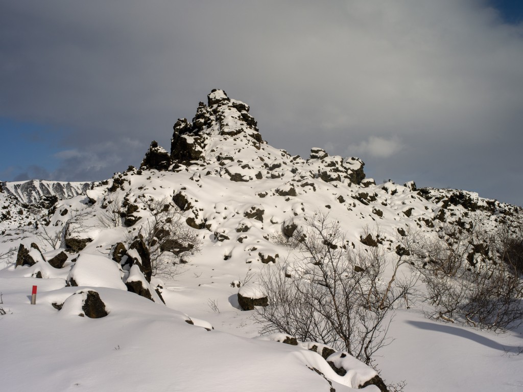 03-29-21-15.01.57.DNG