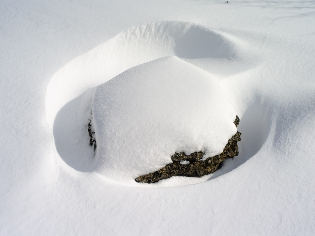 03-29-21-15.04.04.DNG