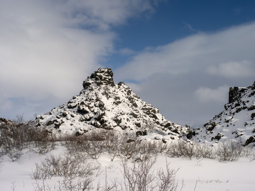 03-29-21-15.04.50.DNG