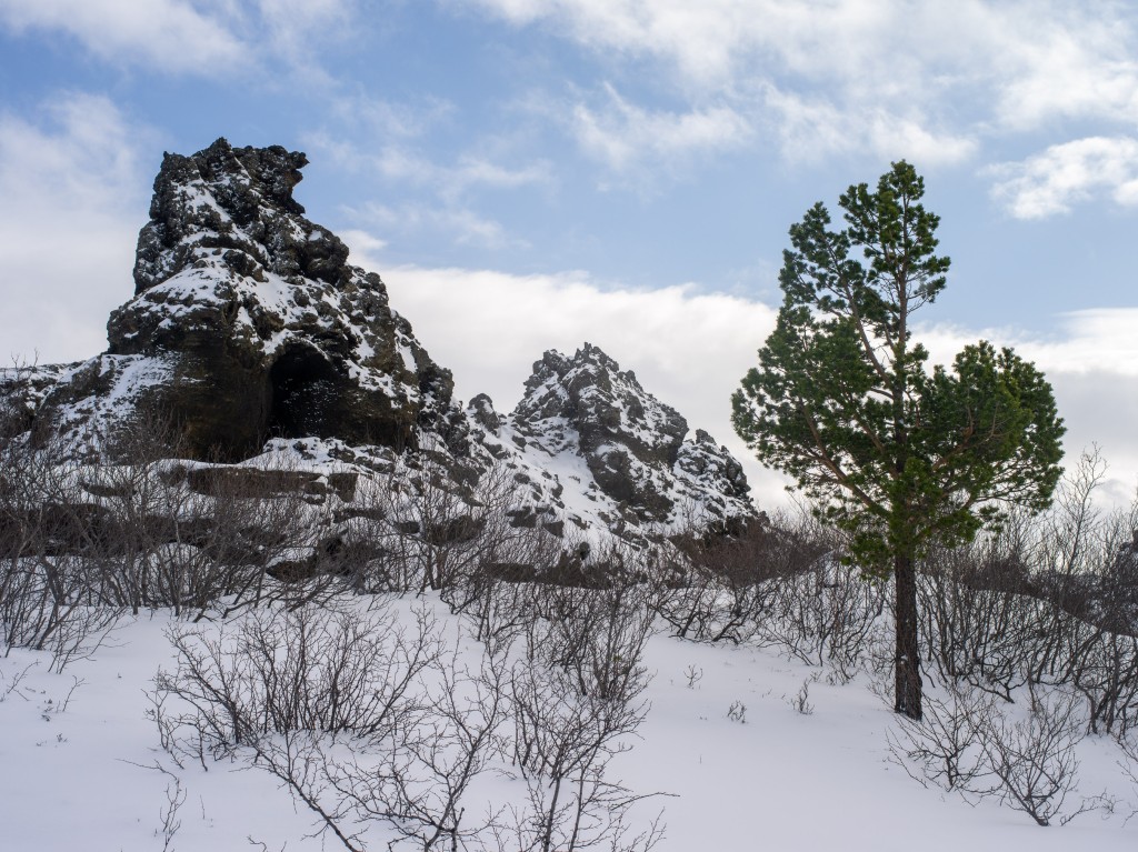 03-29-21-15.09.36.DNG