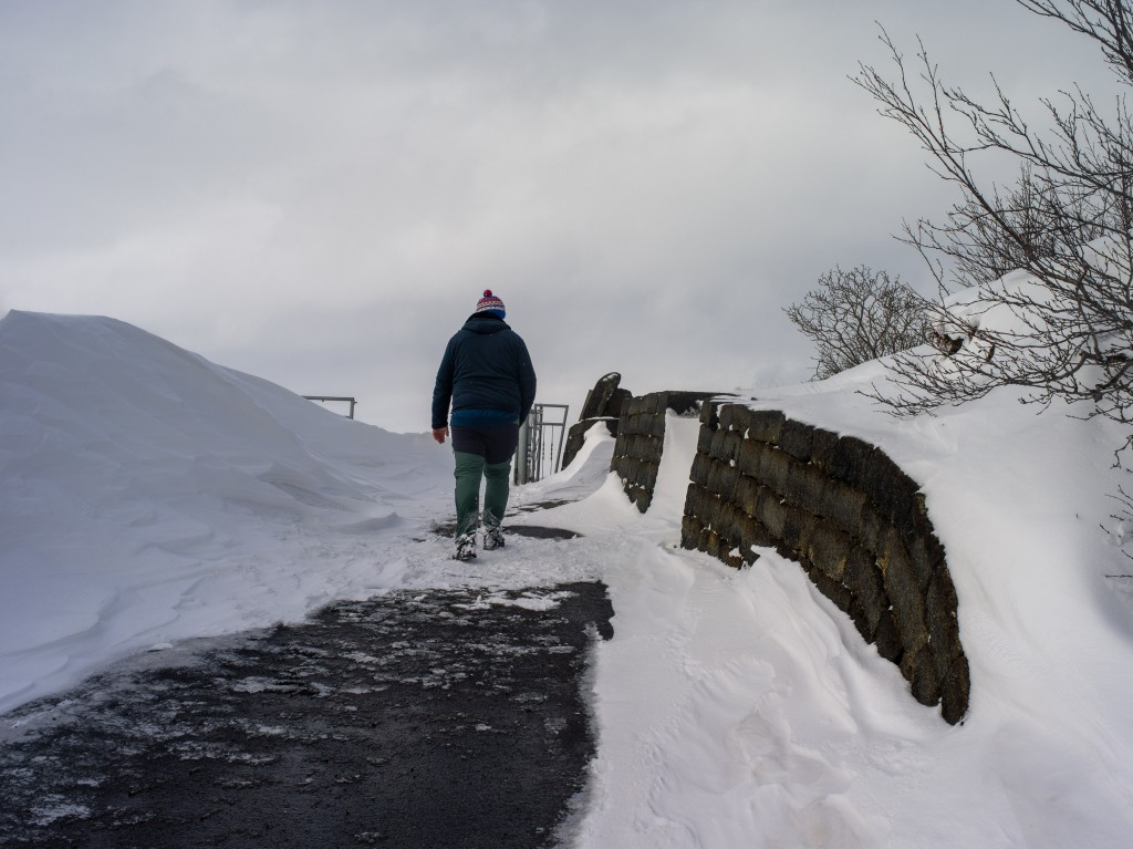 03-29-21-15.19.13.DNG