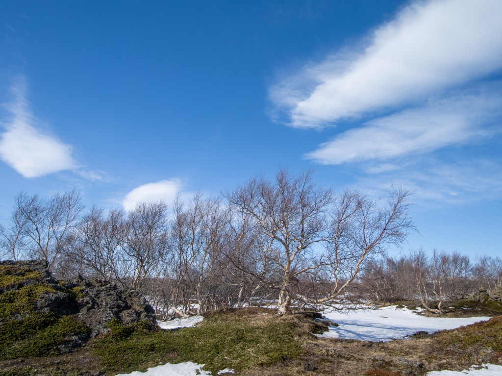 04-02-21-14.55.15.DNG