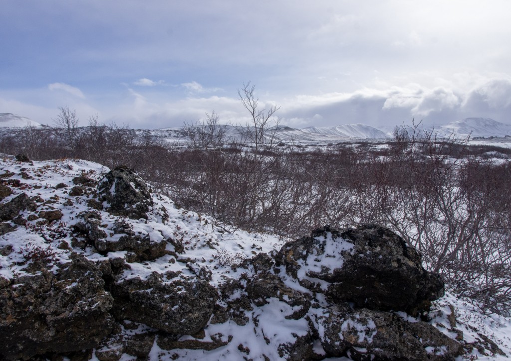 04-04-21-13.37.23.DNG