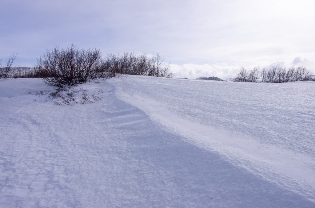 04-04-21-13.46.26.DNG