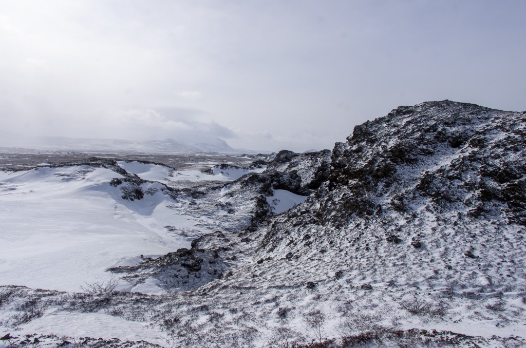 04-04-21-14.00.53.DNG