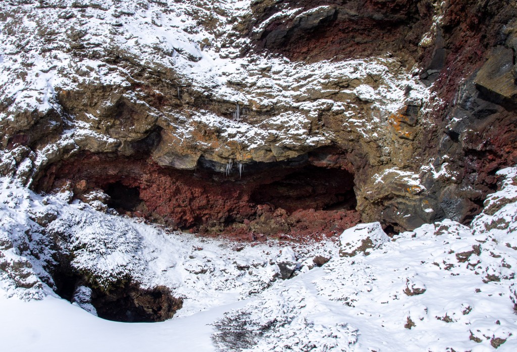 04-04-21-14.02.23.DNG