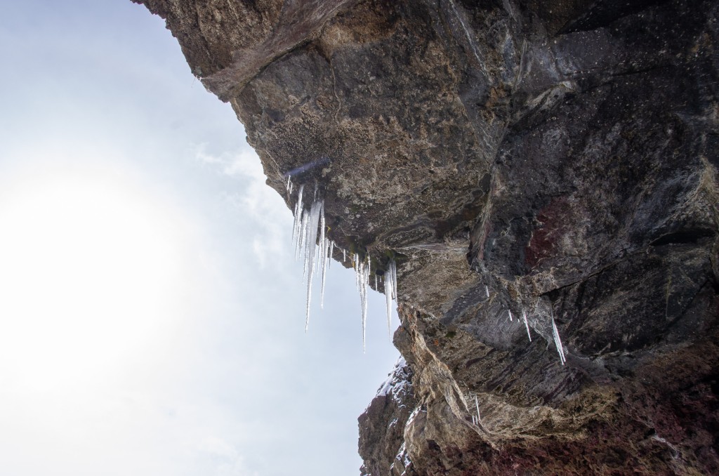 04-04-21-14.03.33.DNG