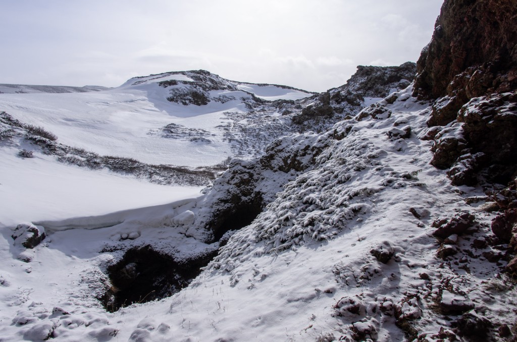 04-04-21-14.03.55.DNG