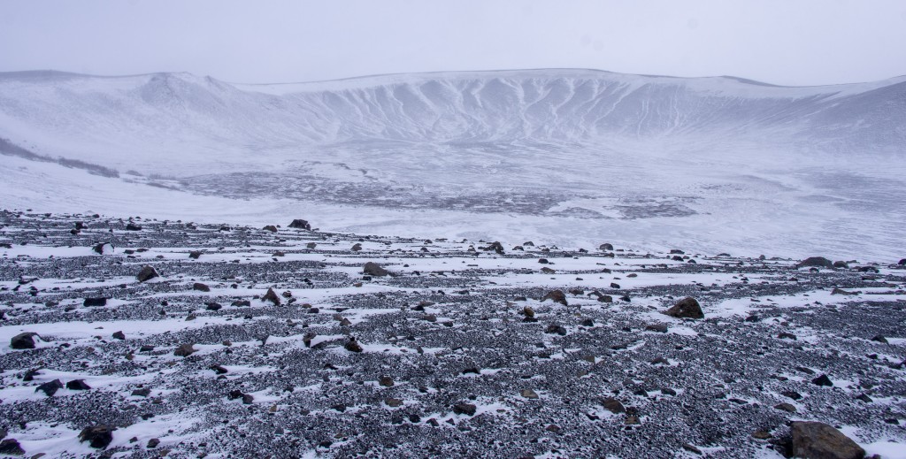 04-04-21-14.19.51.DNG