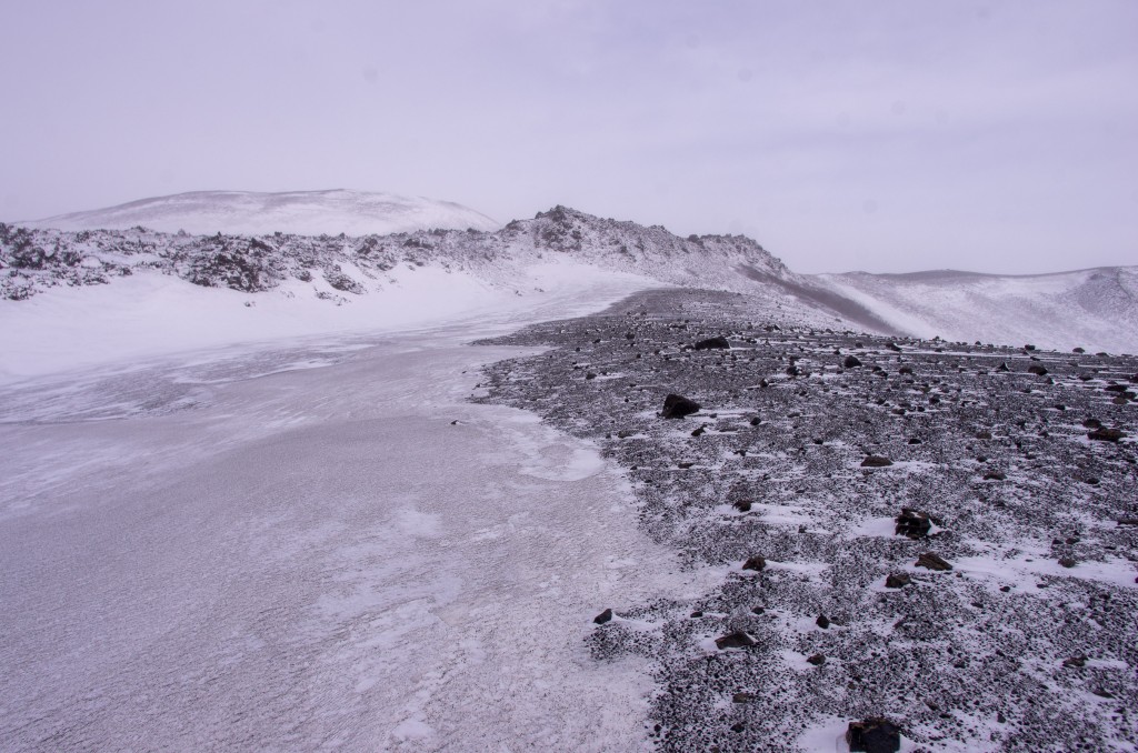 04-04-21-14.23.29.DNG