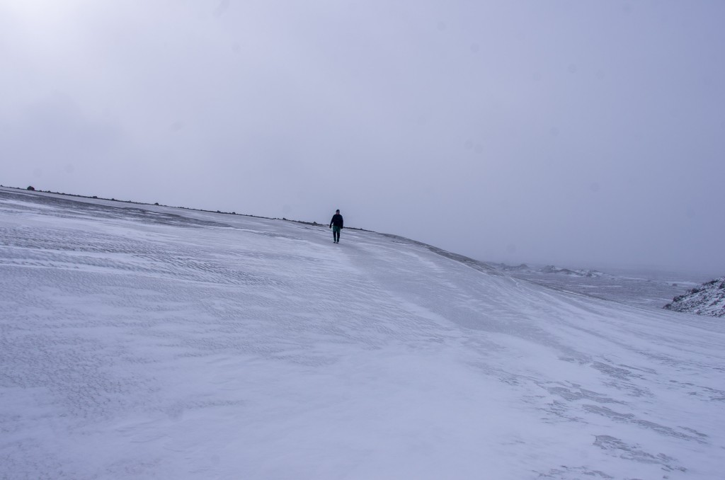 04-04-21-14.24.22.DNG