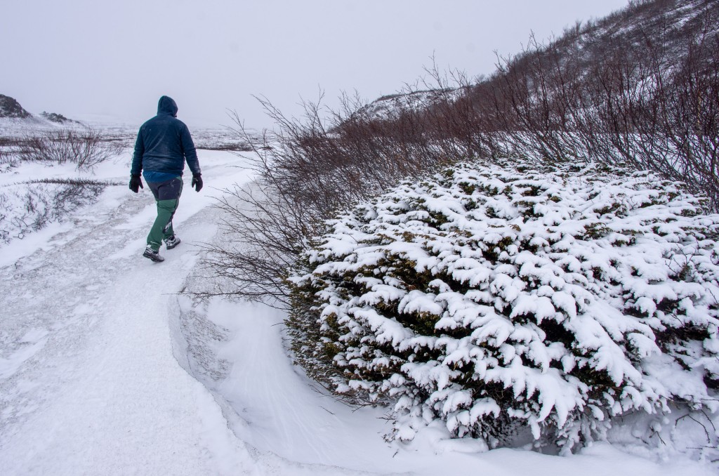 04-04-21-14.31.17.DNG