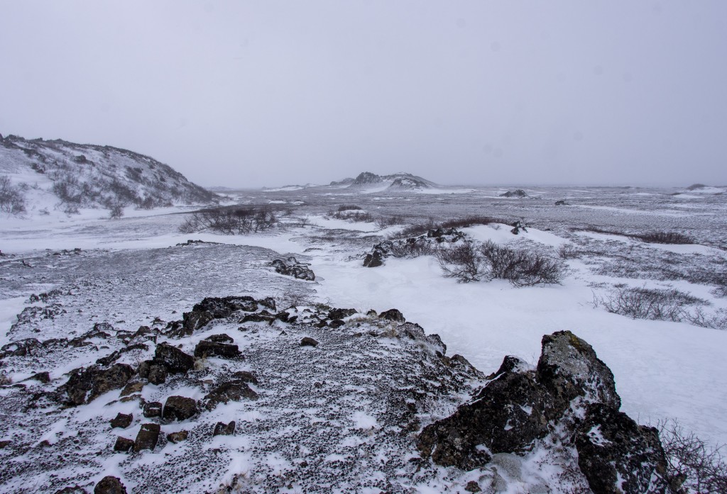 04-04-21-14.40.48.DNG