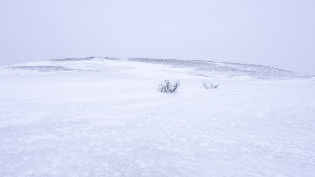 04-04-21-14.53.36.DNG