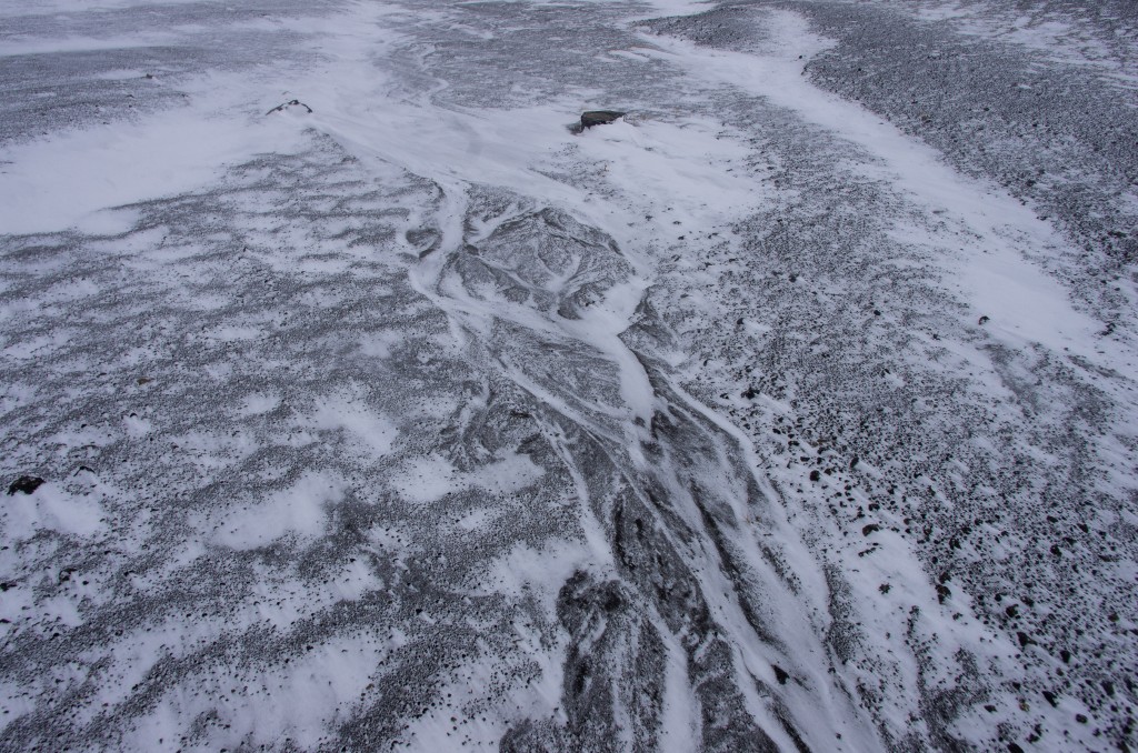 04-04-21-14.58.49-6.DNG