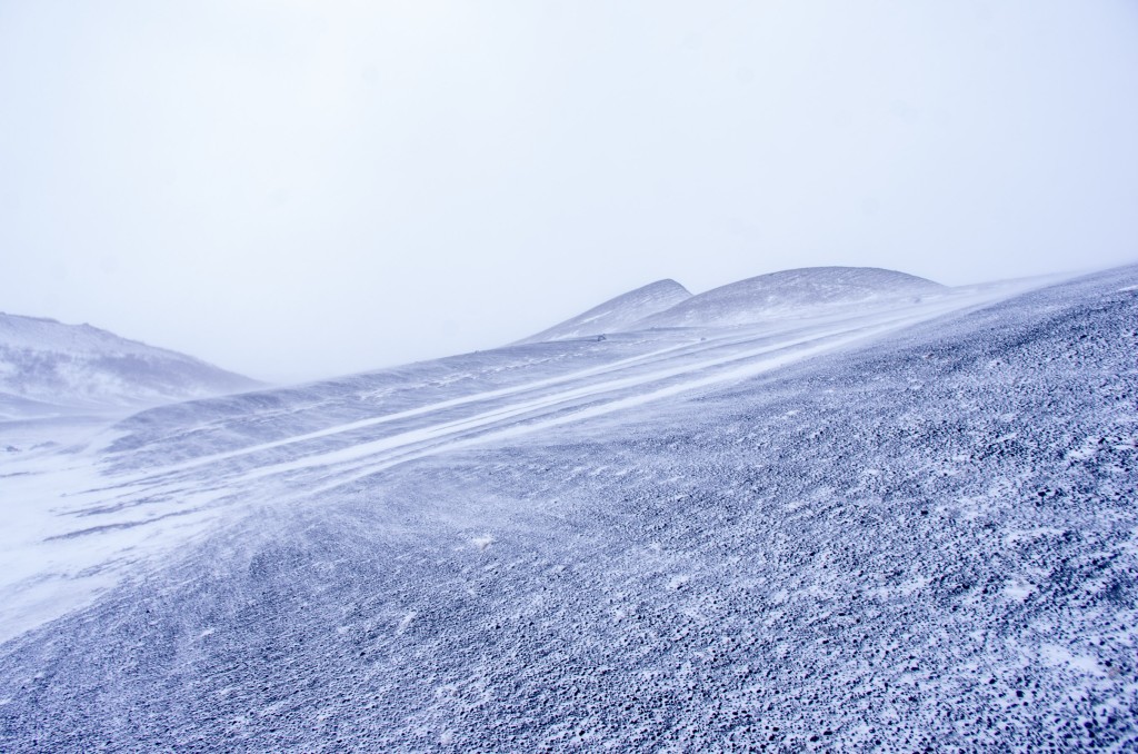 04-04-21-14.59.07.DNG