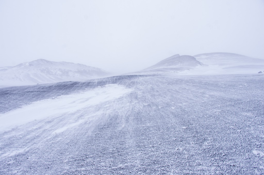 04-04-21-14.59.49.DNG