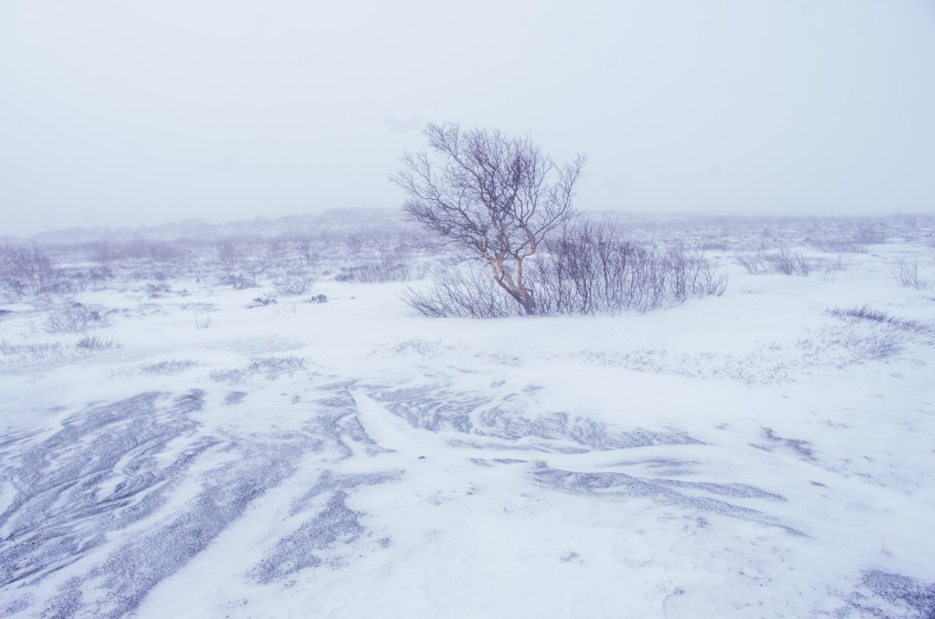 04-04-21-15.12.43.DNG