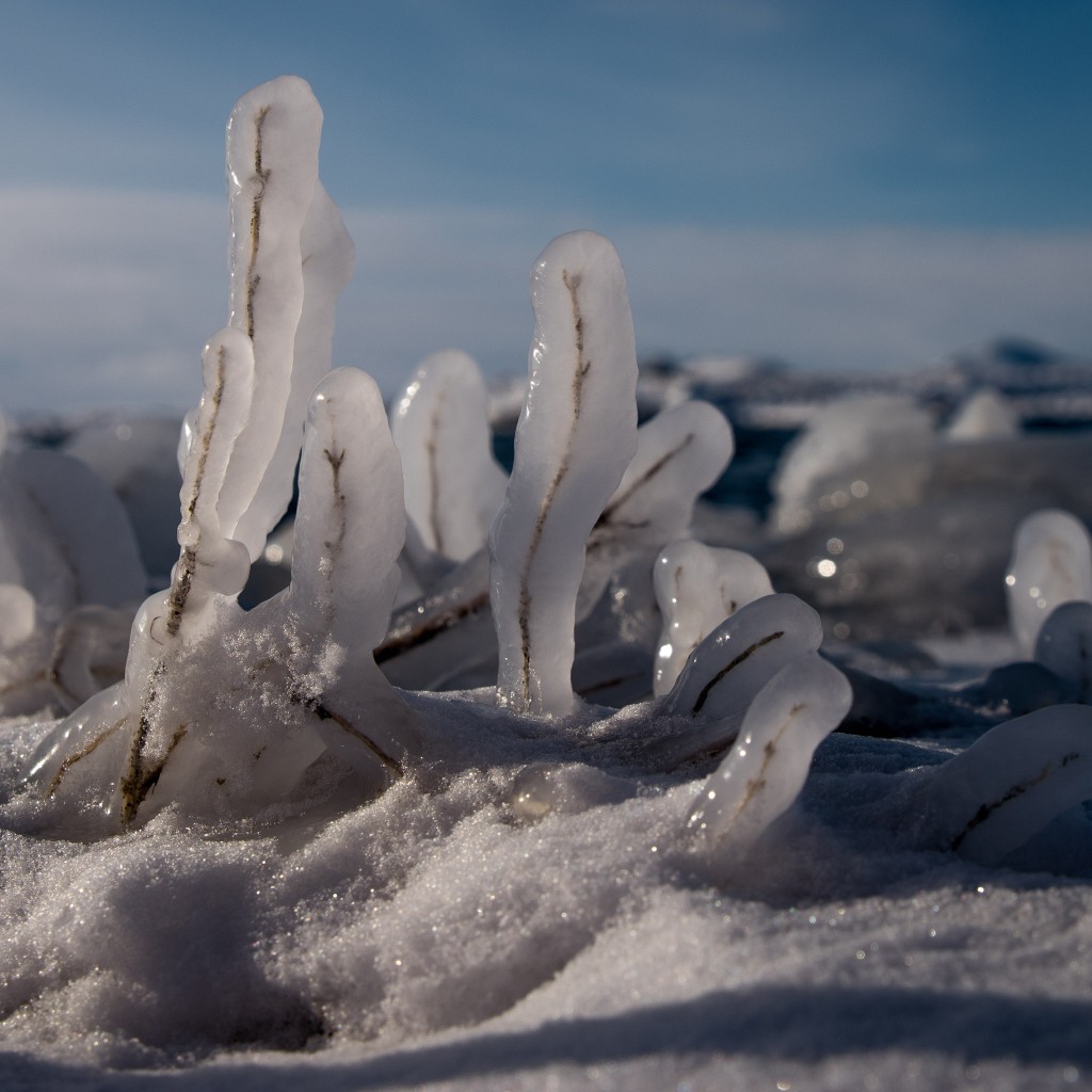 04-05-21-18.02.30.PEF