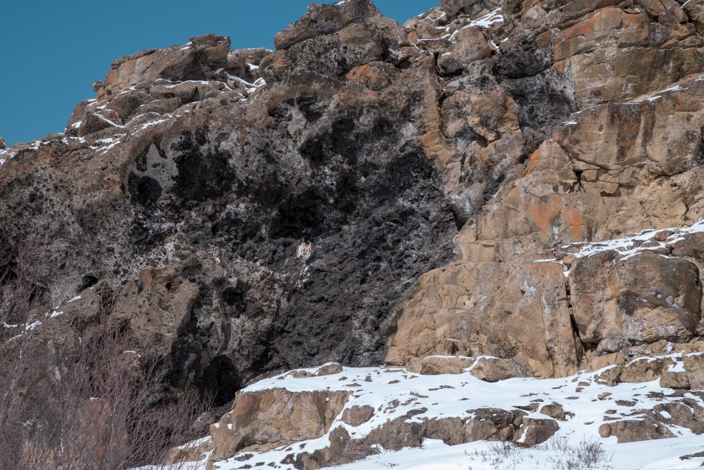 04-09-21-13.56.08.DNG