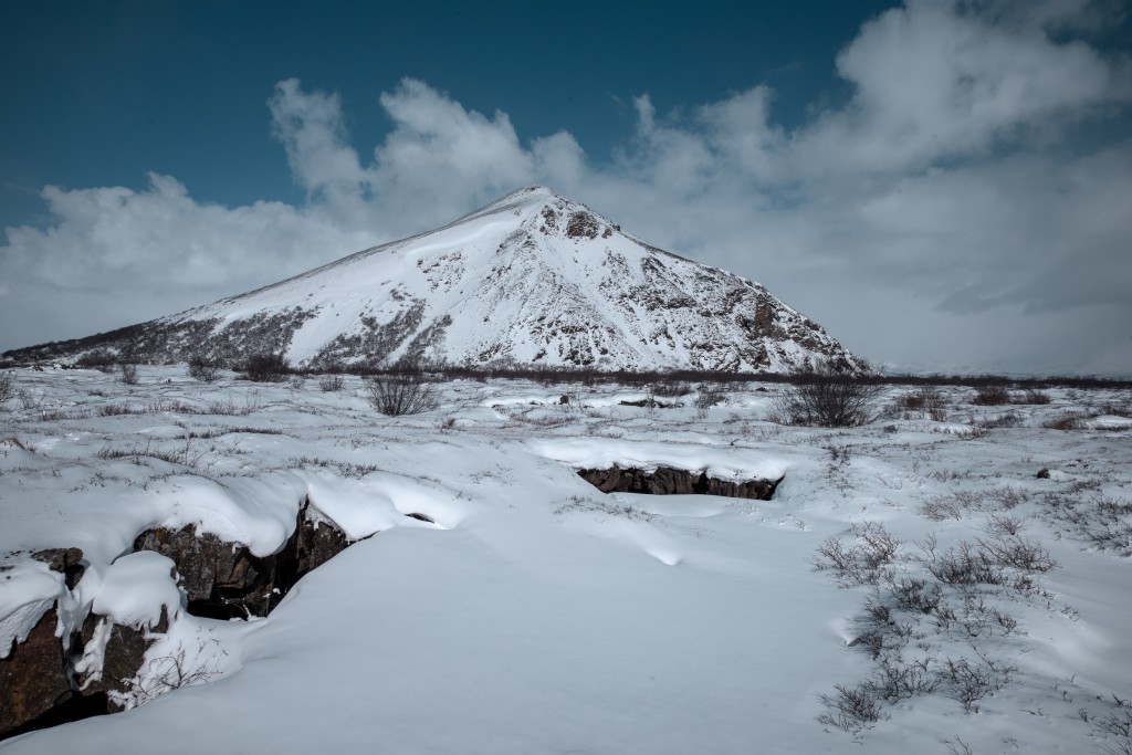 04-09-21-14.16.03.DNG