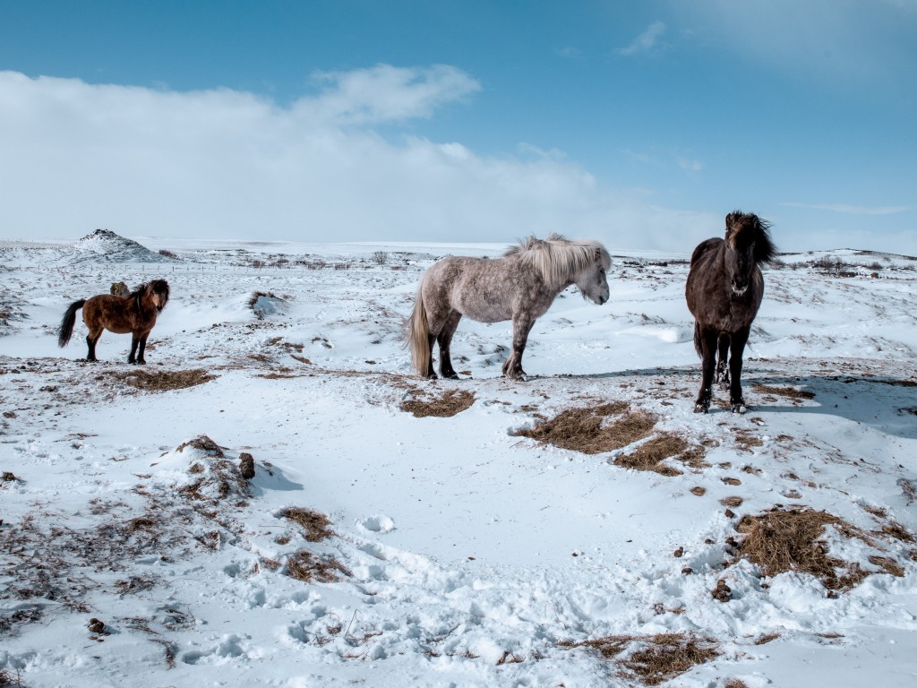 04-09-21-14.17.39.DNG