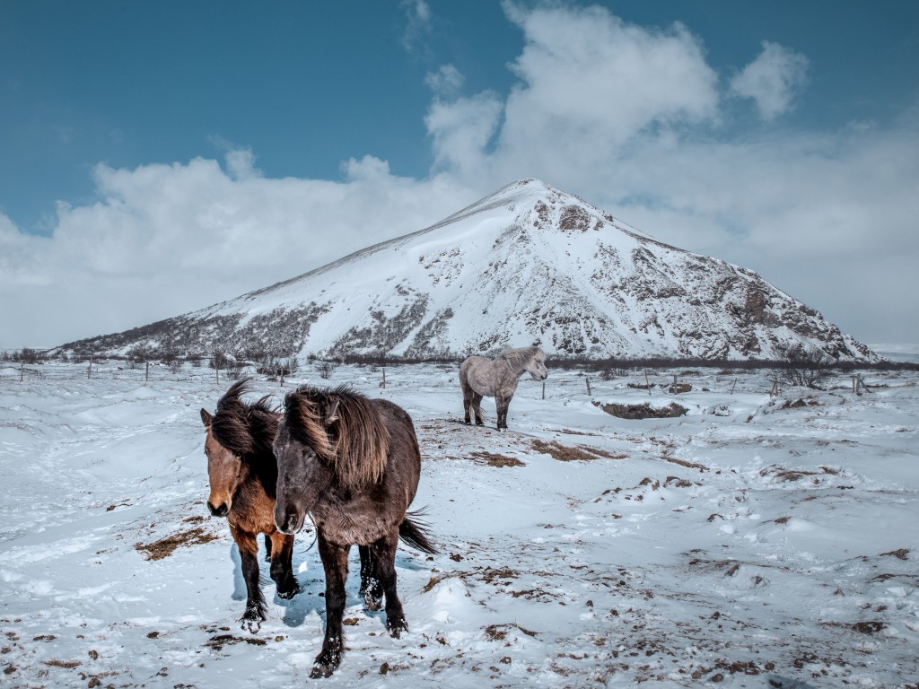 04-09-21-14.17.59.DNG