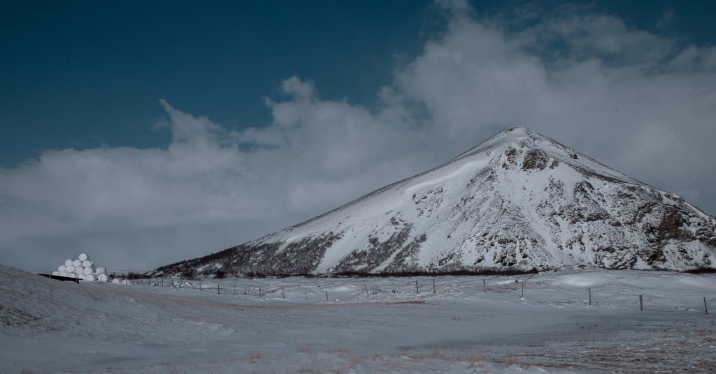 04-09-21-14.23.02.DNG