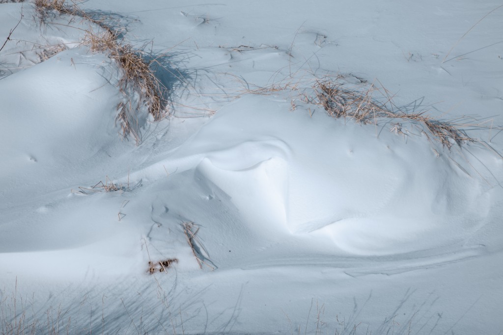 04-09-21-14.28.08.DNG