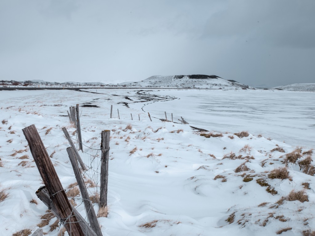 04-09-21-14.51.49.DNG