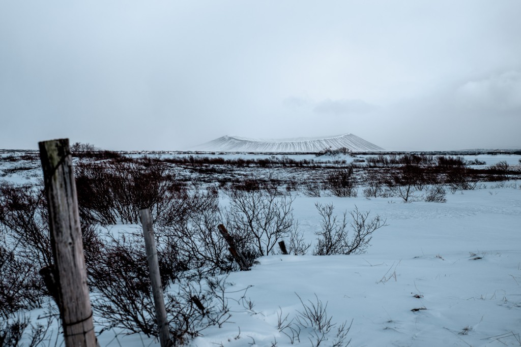 04-09-21-15.28.55.DNG